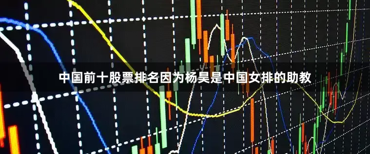 中国前十股票排名因为杨昊是中国女排的助教